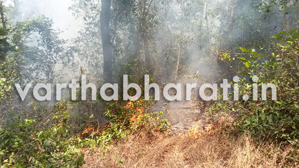 ಕರೋಪಾಡಿ: ಪಂಬತ್ತಾಜೆ-ಪನೆಯಡ್ಕ ಕಾಡಿಗೆ ಆಕಸ್ಮಿಕ ಬೆಂಕಿ